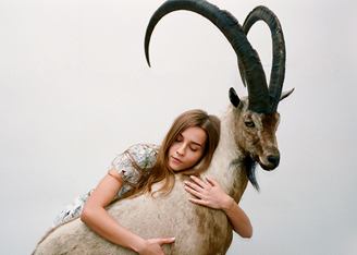  Животный рисунок