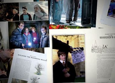 Название книги о "поттериане" выбирают читатели
