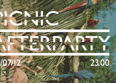 Picnic Afterparty