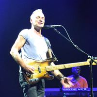 Выходные. Концерт Стинга в Ледовом