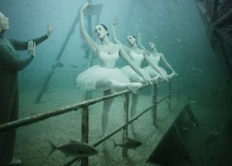 Повседневная жизнь под водой