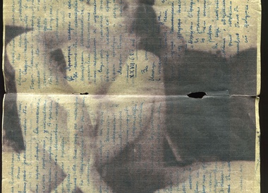 "Том III. Пигановы"