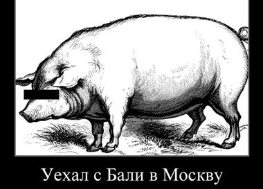 Советчик be-in.ru. Все о жизни в мегаполисе. Выпуск №2