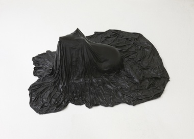 Петер Рисс. Cool Fool Mr. Brown