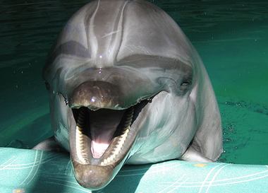  "Детские" места Петербурга