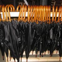 Первый концерт на "Стрелке"