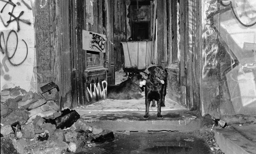 Забытый Нью-Йорк китайского художника