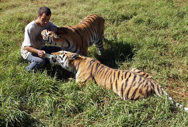 Волонтёр. Человек доброй воли