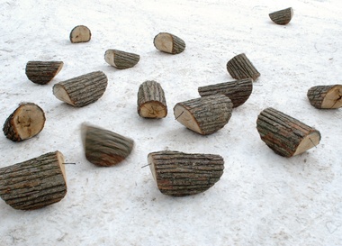 5 Московская биеннале современного искусства: Владимир Марин. "Просто дерево жалко"