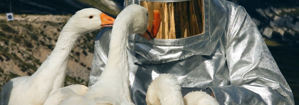 Фестиваль Современного видео арта  VIDEONALE.14 on Tour 