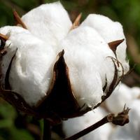 Мода без отходов. Часть 1 