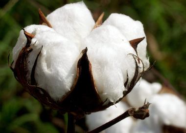 Мода без отходов. Часть 1