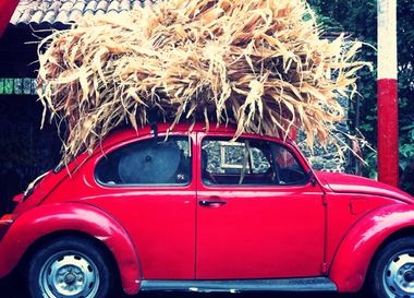 Мир без границ: История тринадцатая. Мексика и США. Часть 2