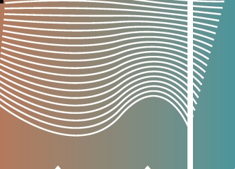 Выставка «Последние открытия» в ЦСИ Сокол