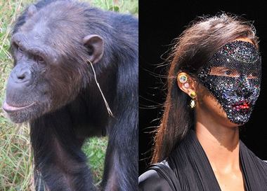 Вы знали, что главный тренд этого сезона связан с шимпанзе