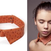 Вещь недели: воротник Die Blonde