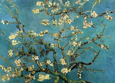 В Петербурге пройдет массовый пленэр «Рисуй как Ван Гог»