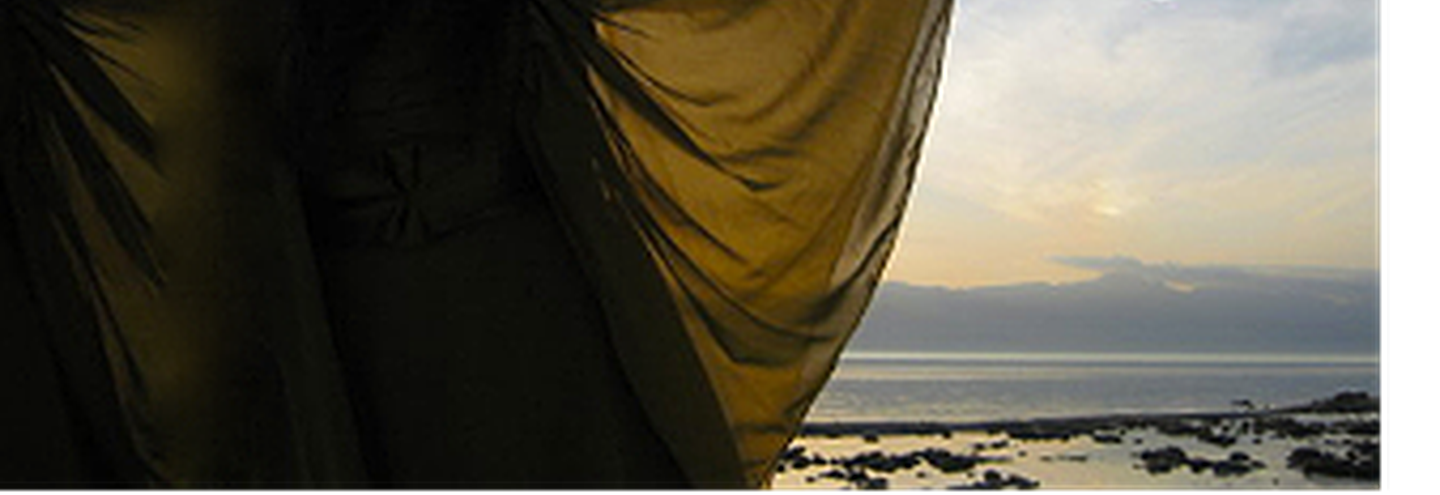 Пятничное настроение между Джимом Джармушем, Ланой Дель Рей и Эмили Бронте