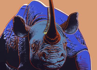 «Красной книге» исполнилось 50 лет, а животные все еще вымирают