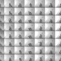 Как ритейлеры запускают свои бренды одежды 