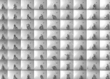 Как ритейлеры запускают свои бренды одежды