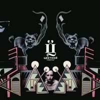 «Цветной» отменил закупки на текущий сезон 