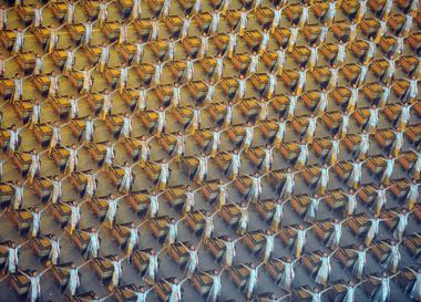 Колонка Fashion Factory: Как начать закупать ткани и изделия в Китае