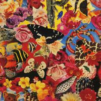 Новая психоделика Что будет модно завтра: