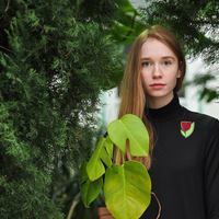 Почему закрываются молодые марки 