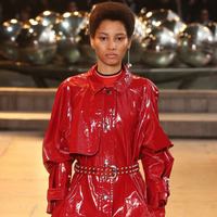 показ Isabel Marant Осень/Зима 2016-2017 Видео: