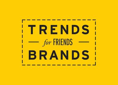 Руководитель направления онлайн-маркетинга в Trends Brands
