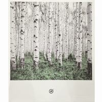 Интервью: Affex