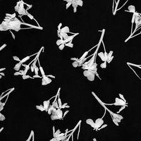 Особенности формирования ассортимента в сегменте масс-маркет contemporary 