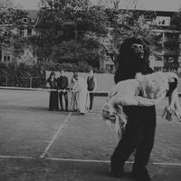 Почему дизайнеру необходимо заключать договор с фотографом и съемочной группой Колонка юриста: