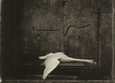  Есть ли смысл вести модный бизнес в России сегодня